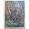 1928 DC AFRIQUE JUNGLE ACCIDENT ELEPHANT ATTAQUE PHOTOGRAPHE APPAREIL PHOTO