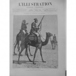 1884 I GUERRE ANGLAIS SOUDAN EGYPTE CAVALERIE EGYPTIENNE FUSIL DOS CHAMEAUX