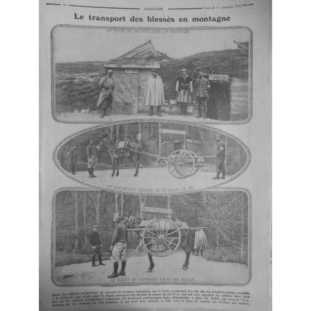 1915 E SEPTEMBRE GUERRE CHASSEUR ALPIN TRANSPORT BLESSE MONTAGNE MULET CHARRETTE