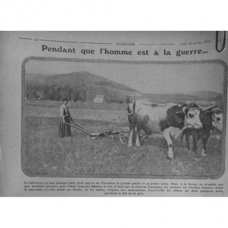 1915 E OCTOBRE GUERRE FEMME LABOUREUSE TERRE FERME ATTELAGE BOEUF SILLON