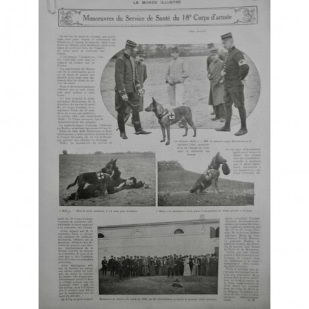 1907 MI ARMEE SERVICE SANTE CHIEN NELLY CROIX ROUGE RECHERCHE BLESSES