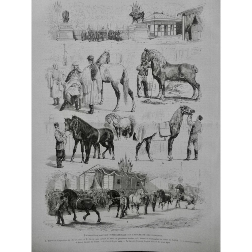 1878 I EXPOSITION HIPPIQUE INVALIDES CHEVAUX PONEYS PUR SANG HONGRE