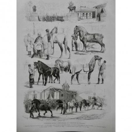 1878 I EXPOSITION HIPPIQUE INVALIDES CHEVAUX PONEYS PUR SANG HONGRE