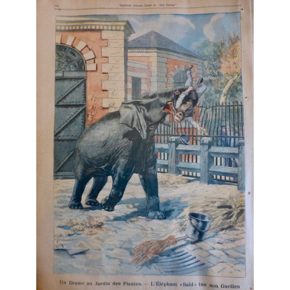 1905 PP ELEPHANT SAÏD JARDIN PLANTES TROMPE ATTAQUE MORTELLE GARDIEN