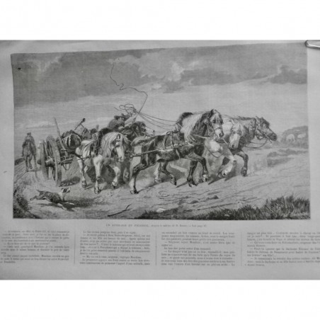 1867 UI PICARDIE ATTEGE CHEVAUX RACE PICARDE RUDESSE FORCE FOUET CHARIOT PLAINE