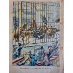 1903 PP CIRQUE MENAGERIE CAGE LIONS DRAME ALLEMAGNE ATTAQUE MME FISHER