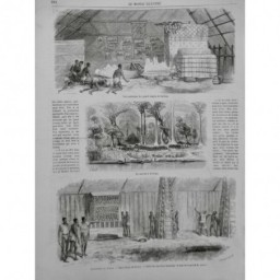 1867 MI NIGER DYOUDYOU BONNY SACRIFICE HUMAIN CRANES SQUELETTE