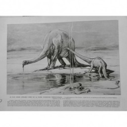 1933 DINAUSAURE PALEONTHOLOGIE FOSSILE RECONSTITUTION GIGANTOSAURE 3 JOURNAUX