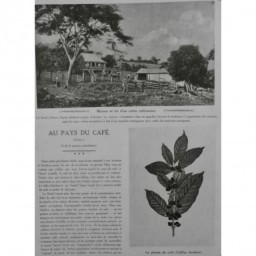 1914 CAFE BROYEUR CHUTE D EAU CULTIVATEUR PLANTE MAGASIN MOKA ZANZIBAR 4JOURNAUX