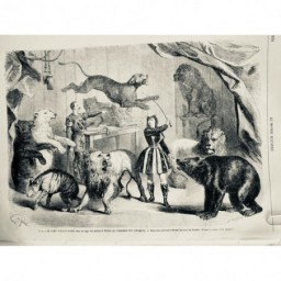 1865 MI CIRQUE DOMPTEUR SCHMIDT ANIMAUX FEROCES CAGE EXERCICE