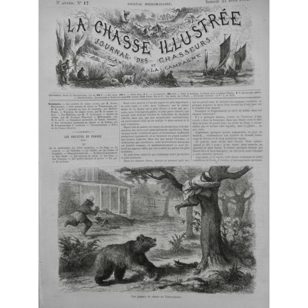 1872 OURS TRANSCAUCASE CHASSE ATTAQUE BOEUF JEUNE FILLE 3 JOURNAUX