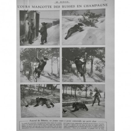 1917 OURS MASCOTTE RUSSE JEU CHAT 2 JOURNAUX