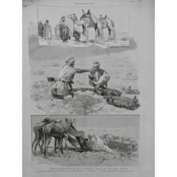 1894 TOUAREG DESERT CHAMEAU SABLE AZDJER FOUREAU SAHARA SAY LANCE 8 JOURNAUX