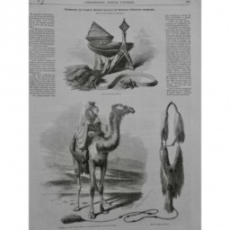 1864 TOUAREG DESERT ROI TOMBOUKTOU EL MOKHTAH CHAMEAU MEHARI 10 JOURNAUX