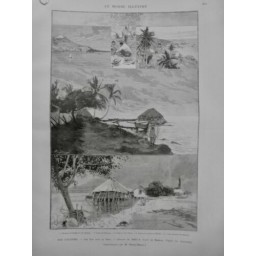 1890 MI ILE RAÏATEN PLAGE VEGETATION COLONIE