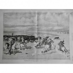 1878 I CAMARGUE MUSELADE VEAUX TROUPEAU CAVALIER COURSE BURNAND