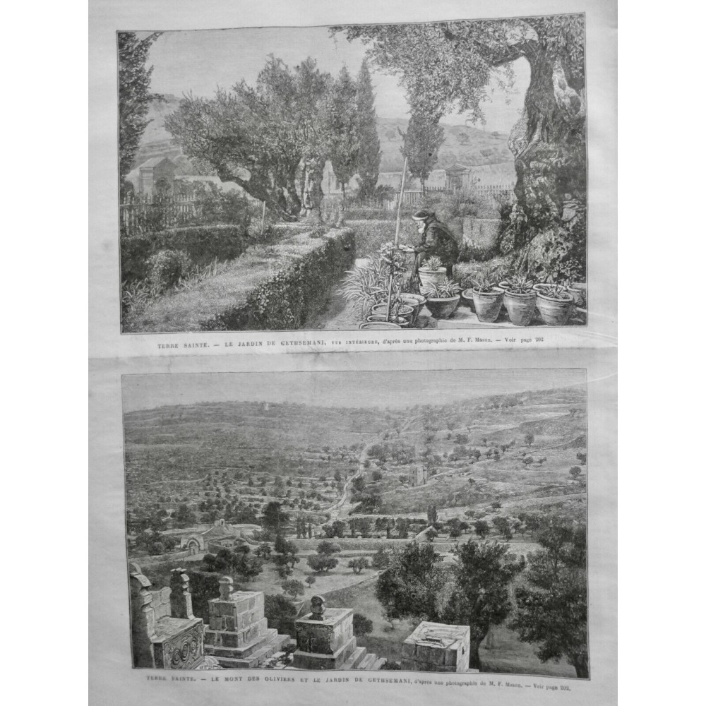 1879 UI JERUSALEM MONT OLIVIERS JARDIN GETHSEMANI VEGETATION LECTURE TERRE SAINT