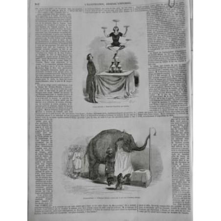 1847 I CIRQUE NATIONAL EQUILIBRISTE ASSIETTE ELEPHANT ZOBAÏDE HIDALGO