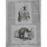 1847 I CIRQUE NATIONAL EQUILIBRISTE ASSIETTE ELEPHANT ZOBAÏDE HIDALGO