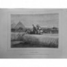 1874 MI EGYPTE CHAMP PAYSAN LABOUR ATTELAGE BOEUF MULE FAMILLE ENFANT PYRAMIDE