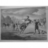 1874 I YEARLINGS DRESSAGE CHEVAUX SAUVAGE DRESSEUR CRAVACHE CHIEN