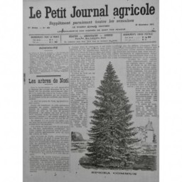 1912 PJA NOEL ARBRE SAPIN NOEL FORET VENTE FLEURISTE EPICEA TRADITION PEPINIERIS