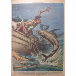 1952 DC ANIMAUX PECHEUR BARQUE ATTAQUE ESPADON DRAGONNANT VENTRE