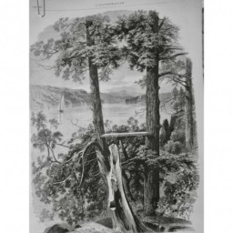 1876 I ETATS UNIS HUDSON VUE HYDE-PARK RIVIERE VOILIER VEGETATION