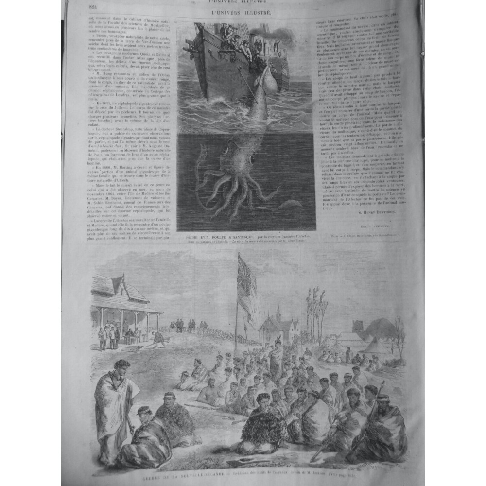 1865 UI PECHE POULPE GIGANTESQUE NOUVELLE ZELANDE REDDITION NATIFS TAURANGA