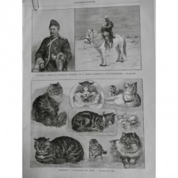 1890 UI AMSTERDAM EXPOSITION CHAT RACE PAYS ETRANGER ANGORA GOUTTIERE PELAGE