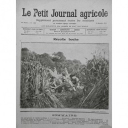 1914 18 LPJA AGRICULTURE CHAMP BLÉ DEJEUNER OFFICIER FRANCAIS RECOLTE