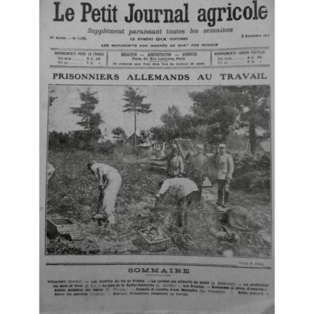 1914 18 LPJA AGRICULTURE PRISONNIER ALLEMAND CUEILLETTE POMME TERRE