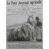 1914 18 LPJA AGRICULTURE FEMME FERMIERE REQUISITION CHEVAUX ATTELAGE BOEUF