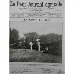 1914 18 LPJA AGRICULTURE SOLDAT WAGON CHARGEMENT BOIS BOULAGE