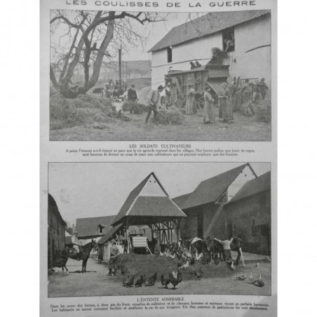 1915 SLV AGRICULTURE SOLDAT CULTIVATEUR FERME ANIMAUX POLUS