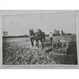 1915 MI AGRICULTURE FRANCE PAYSAN LABOUR CHAMPS CHARRUE TERRE