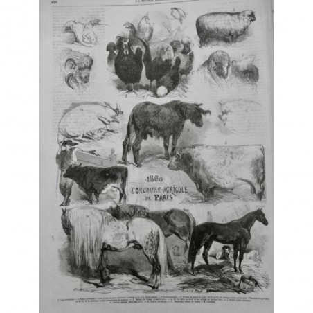 1860 MI AGRICULTURE CONCOURS AGRICOLE PARIS VOLAILLE BETAIL CHEVAUX