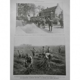 1918 I AGRICULTURE PRISONNIER ALLEMAND MOISSON CHAMPS FAULX MOISSONNEUSE