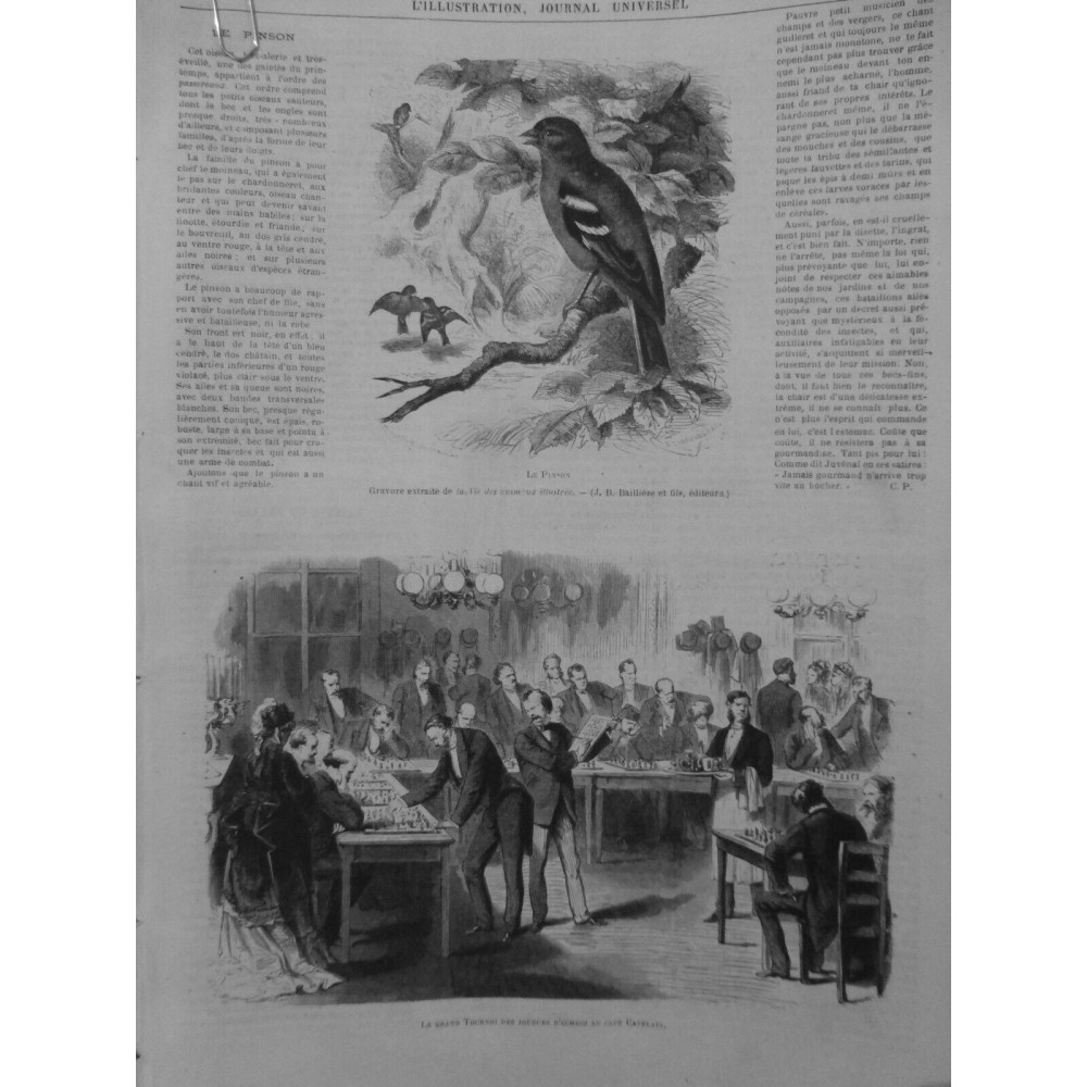 1870 I ECHEC TOURNOI JOUEUR CAFÉ CATELAIN PARTIE ECHIQUIE CASES PIECES TOUR ROI