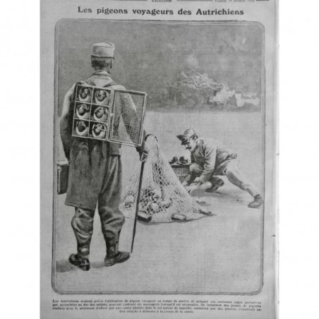 1915 E PIGEON VOYAGEUR AUTRICHIEN CAGE PORTATIVE SOLDAT FILET CANNE