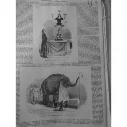 1847 I CIRQUE NATIONAL EXERCICE EQUILIBRE AMODIO ELEPHANT ZOBAÏDE CONDUIT NAIN