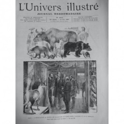 1891 UI PARIS INSTALLATION MUSEUM COLLECTIONS PRINCE HENRI ORLEANS M.BONVALOT