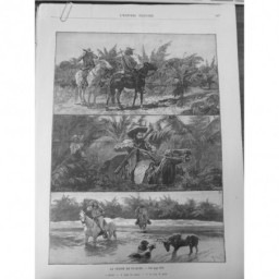 1892 USA FLORIDE CHASSE MARAIS CERF CHEVAL CARABINE CHIEN