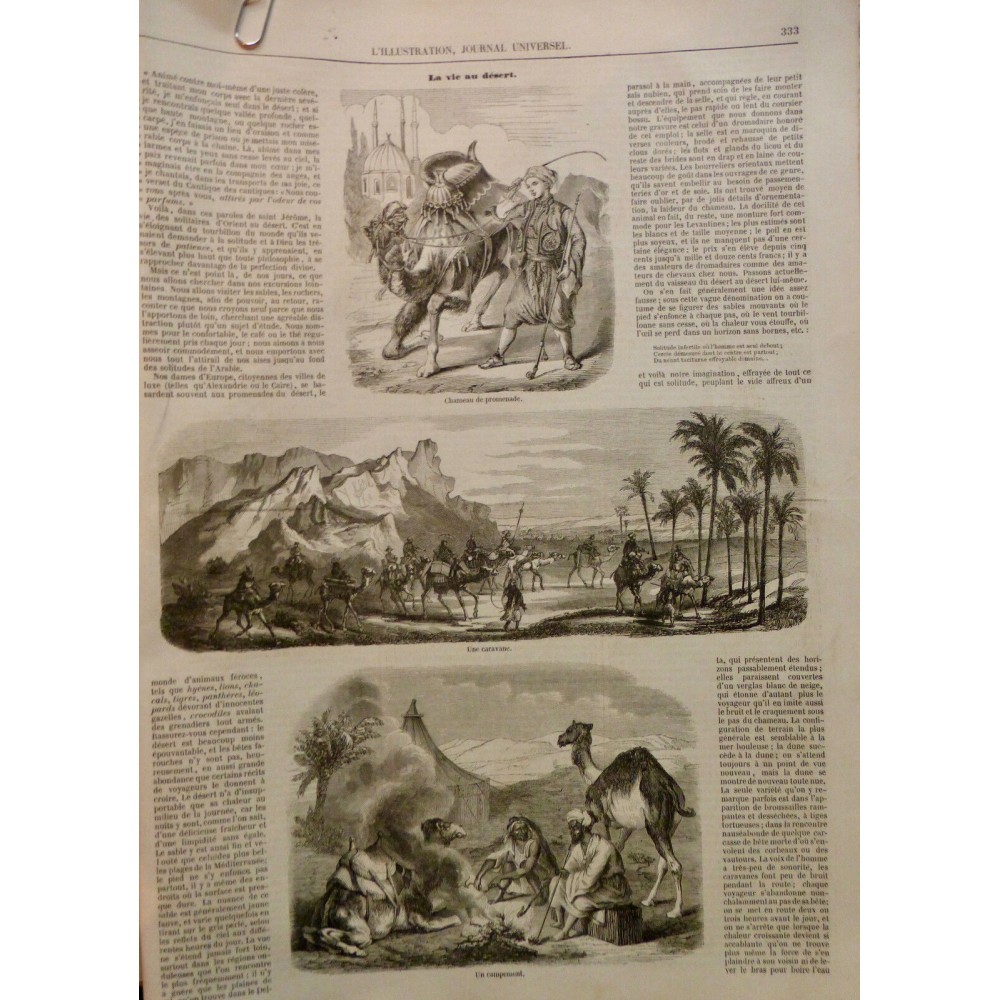 1854 I DESERT ARABE SABLE PROMENADE CHAMEAU CARAVANE CAMPEMENT FEU MONTAGNE