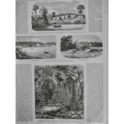 1852 I GUYANE FORET VIERGE PLANTE MEDICINALE INDIEN GALIBI CAYENNE MALOUET