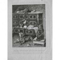 1874 IE CHAT JEU COMMODE TIROIR TISSU VETEMENT CHIEN GRIFFE CACHER LAMBERT