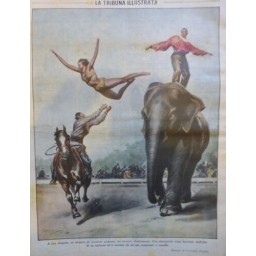 1932 TI CIRQUE PARC ATTRACTION ACROBATE ELEPHANT SAUT CHEVAL