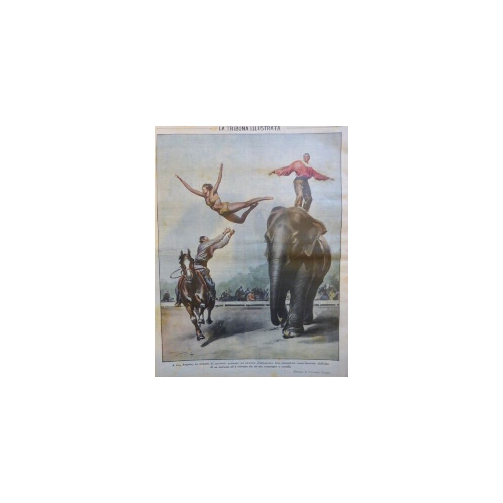 1932 TI CIRQUE PARC ATTRACTION ACROBATE ELEPHANT SAUT CHEVAL