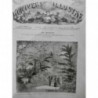 1875 UI REINE DANEMARCK VISITE SERRE PARIS BOIS BOULOGNE VEGETATION EXOTISME