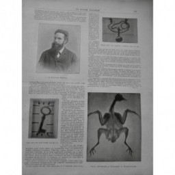 1896 RADIO RAYON X RADIOGRAPHIE DR ROENTGEN PORTRAIT SQUELETTE 6 JOURNAUX